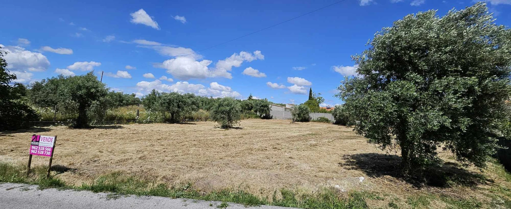 Terreno para Venda em Paialvo Foto 4