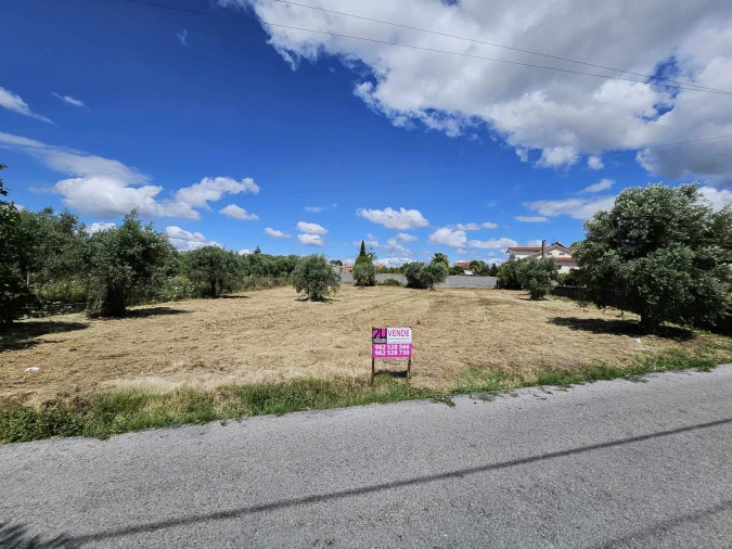 Terreno para Venda em Paialvo Foto 3