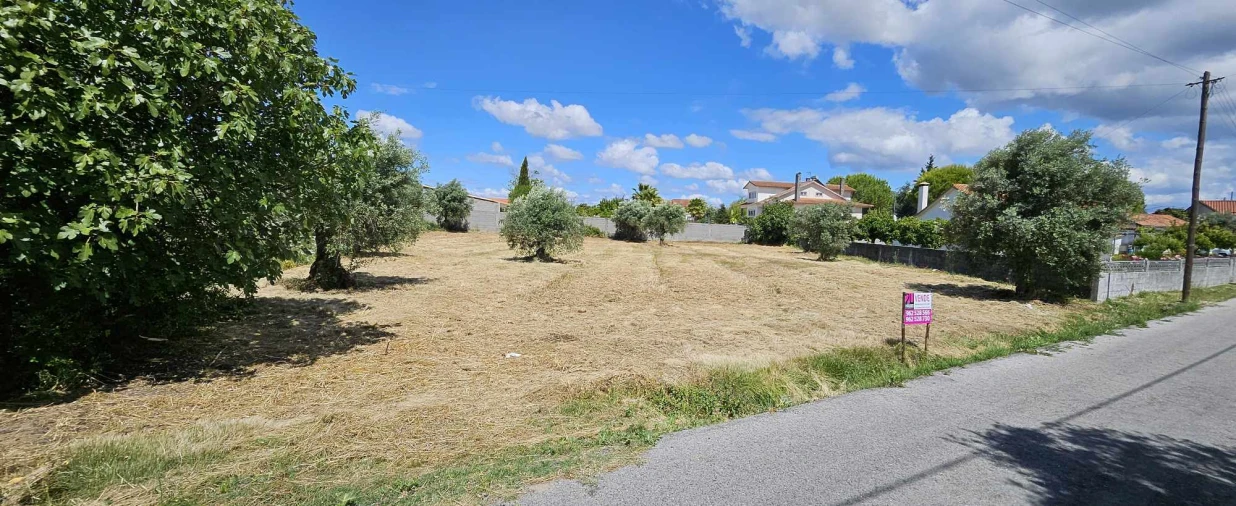 Terreno para Venda em Paialvo Foto 5