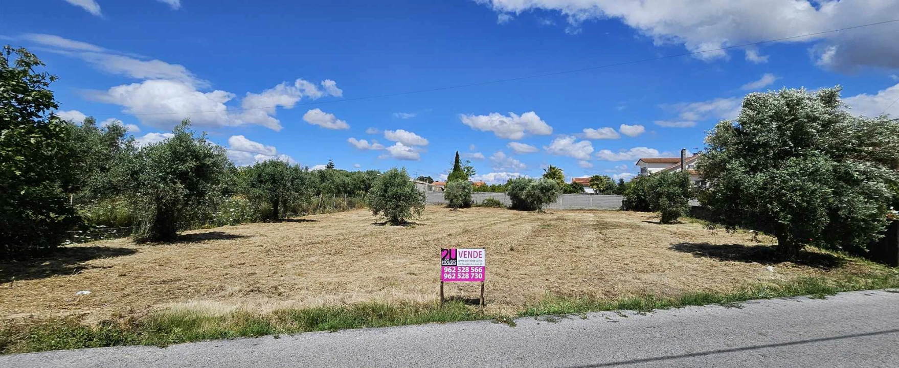 Terreno para Venda em Paialvo Foto 2