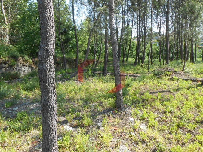 Terreno para Venda em Recarei Foto 7