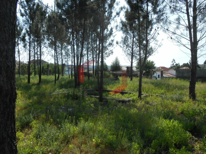 Terreno para Venda em Recarei Foto 5