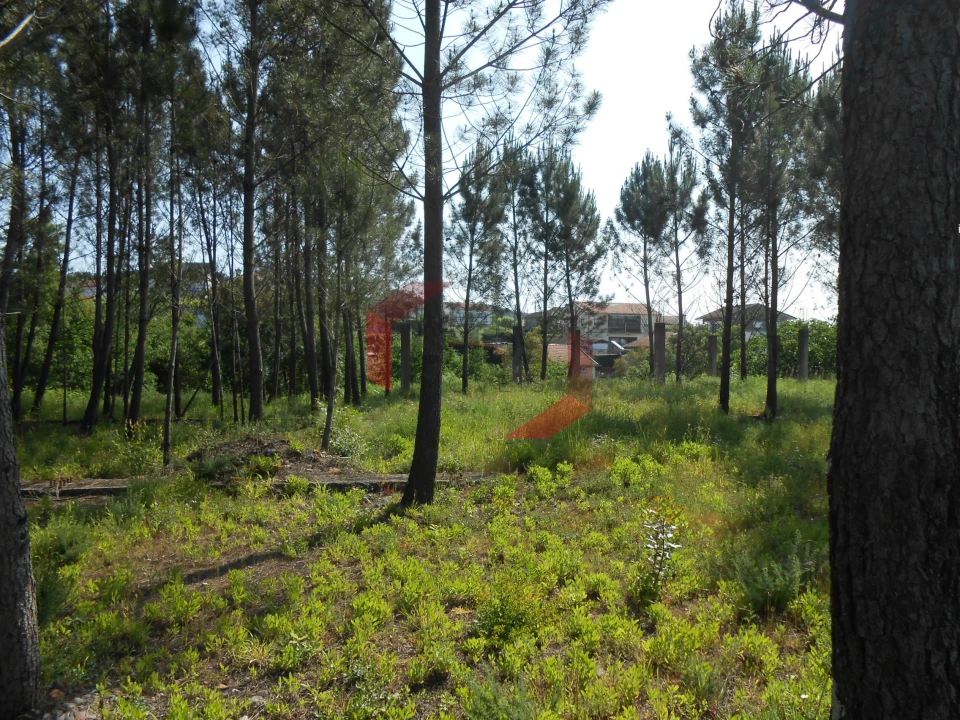 Terreno para Venda em Recarei Foto 4