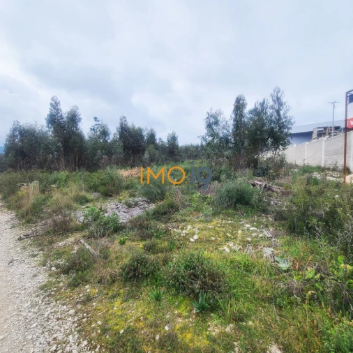 Terreno para Venda em Fatima Foto 2