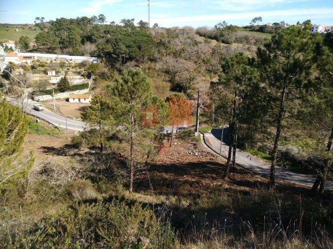 Terreno para Venda em Milharado Foto 2