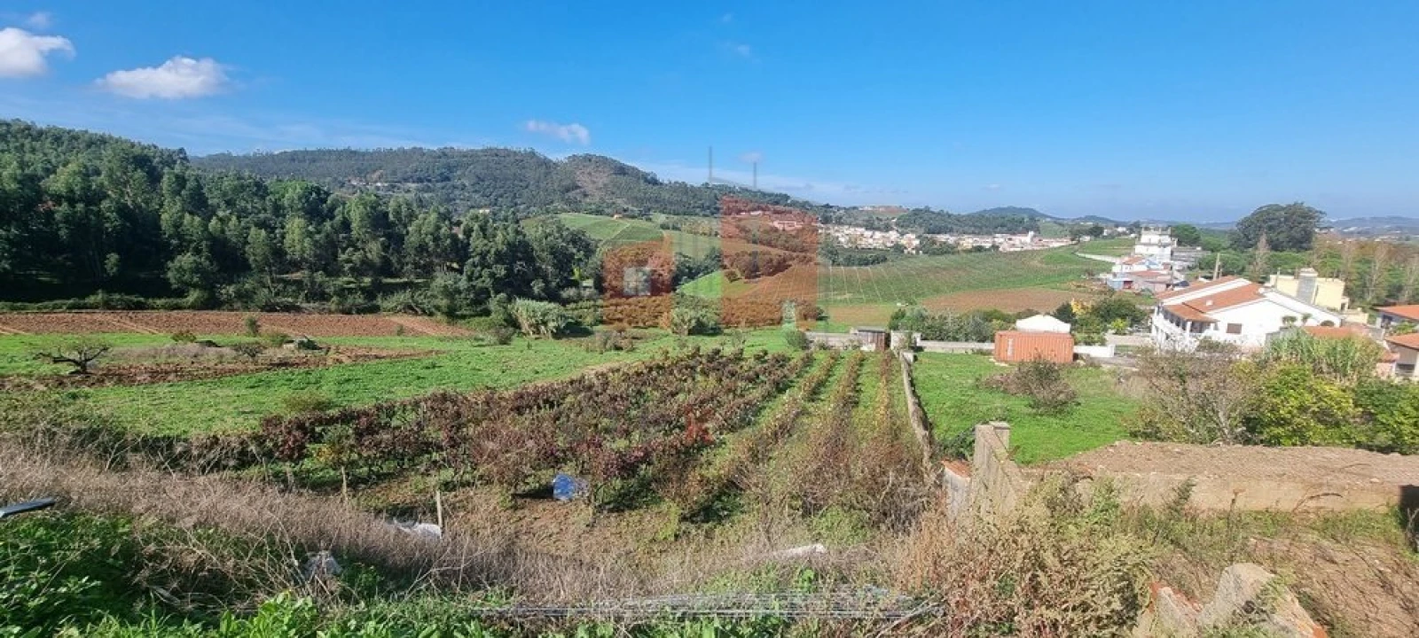 Terreno para Venda em Enxara do Bispo, Gradil e Vila Franca do Rosário Foto 3