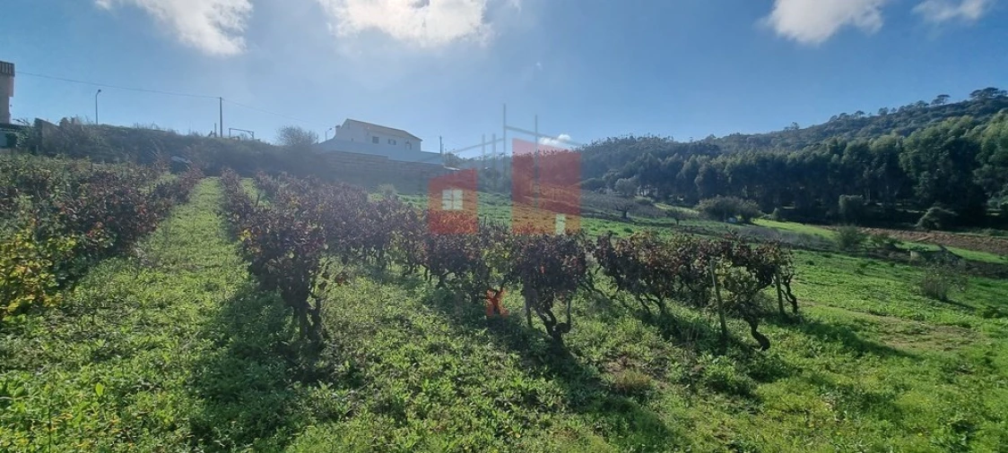 Terreno para Venda em Enxara do Bispo, Gradil e Vila Franca do Rosário Foto 4
