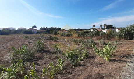 Terreno para Venda em Sesimbra (Castelo)