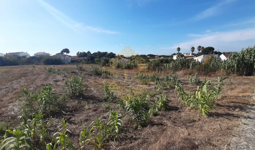 Terreno para Venda em Sesimbra (Castelo) Foto 3
