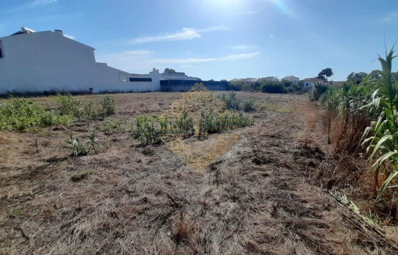 Terreno para Venda em Sesimbra (Castelo) Foto 4