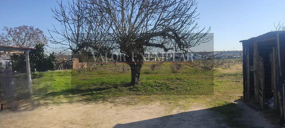 Quinta T1 para Venda em Poceirão e Marateca Foto 20