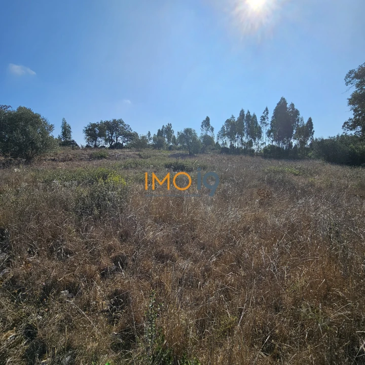 Terreno para Venda em Fatima Foto 3