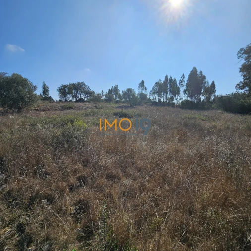 Terreno para Venda em Fatima Foto 3