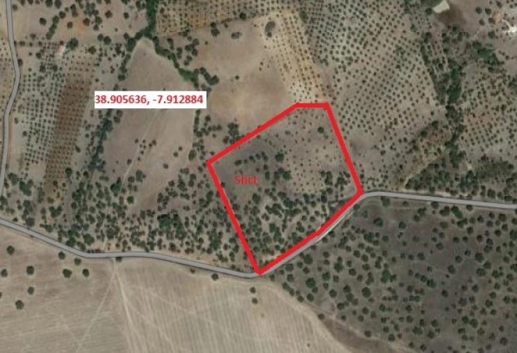 Terreno para Venda em Pavia