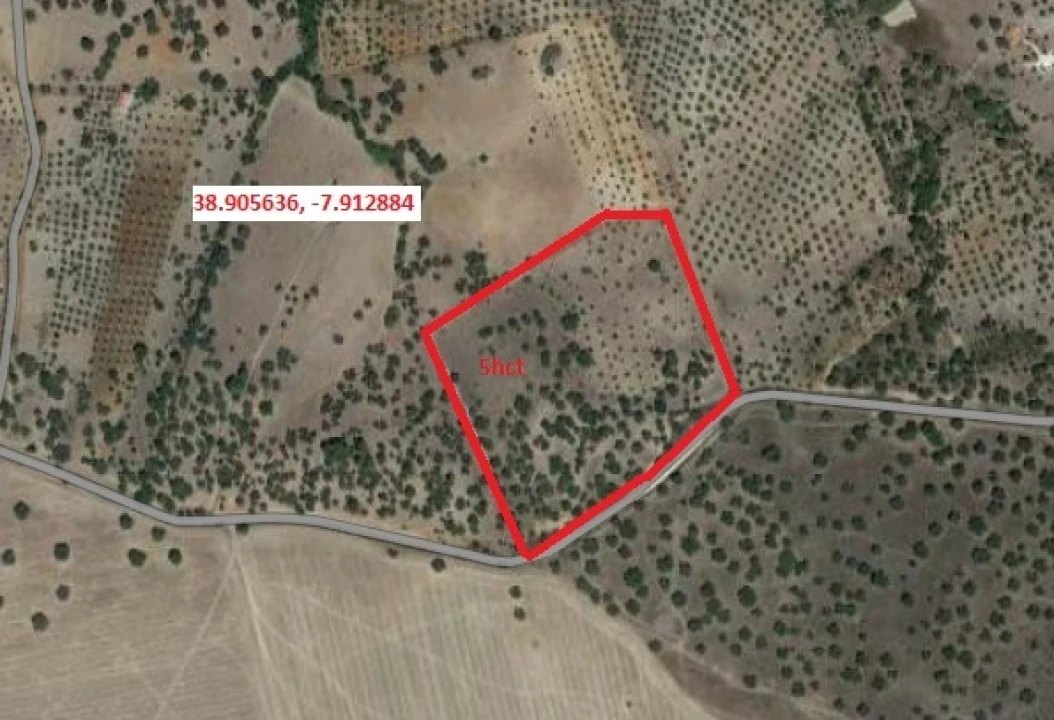 Terreno para Venda em Pavia Foto 1