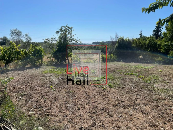 Terreno para Venda em São João da Boa Vista Foto 8