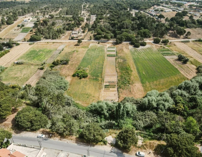 Terreno para Venda em Sesimbra (Castelo) Foto 5