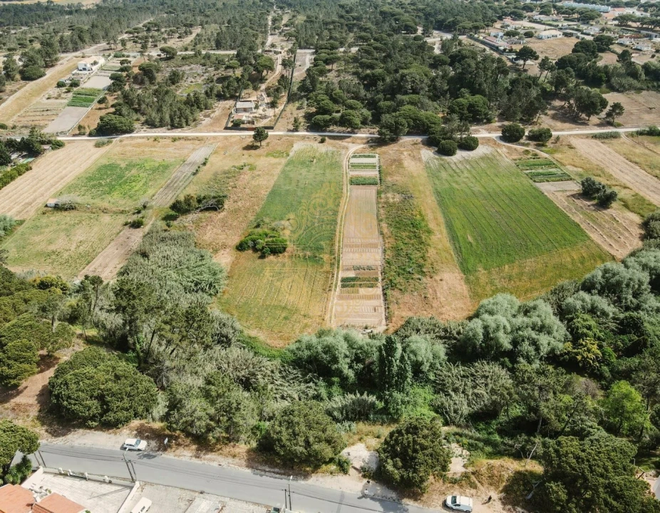 Terreno para Venda em Sesimbra (Castelo) Foto 5