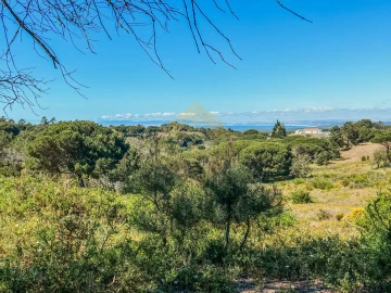 Terreno para Venda em Sesimbra (Castelo)