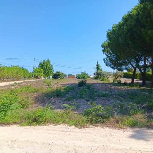 Terreno para Venda em Coruche, Fajarda e Erra Foto 2