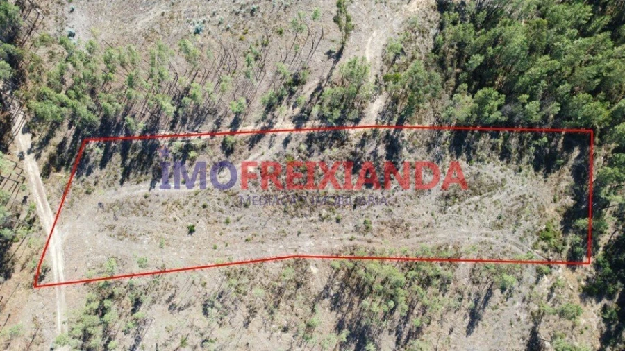 Terreno para Venda em Freixianda, Ribeira do Fárrio e Formigais Foto 2