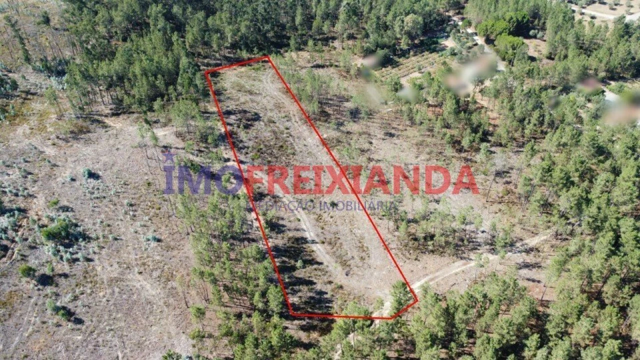 Terreno para Venda em Freixianda, Ribeira do Fárrio e Formigais Foto 1