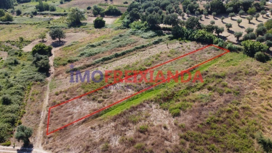 Terreno para Venda em Rio de Couros e Casal dos Bernardos Foto 1