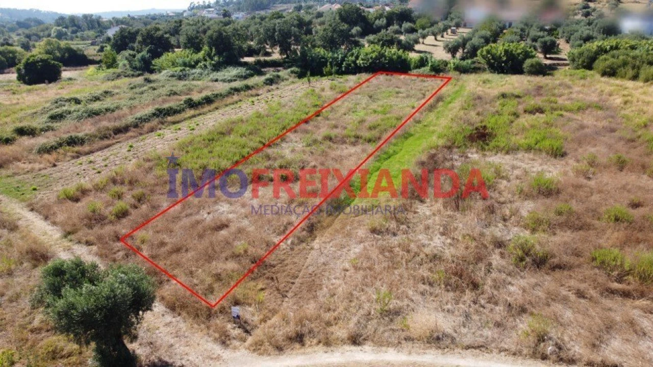 Terreno para Venda em Rio de Couros e Casal dos Bernardos Foto 3