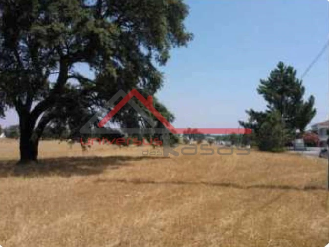 Terreno para Venda em Pinhal Novo Foto 3