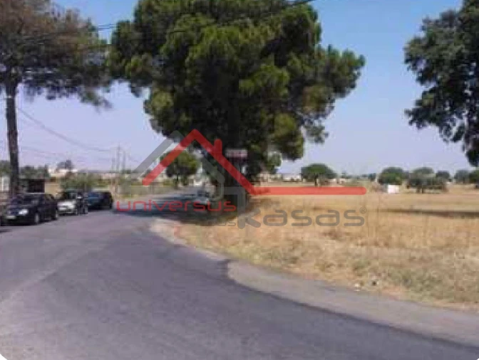 Terreno para Venda em Pinhal Novo Foto 5