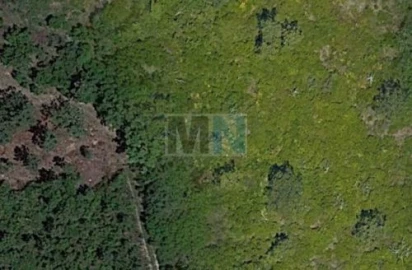 Terreno para Venda em Santa Clara e Castelo Viegas