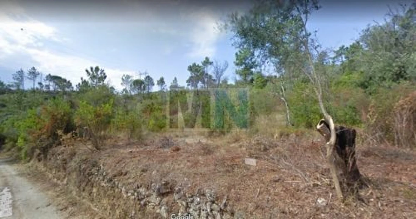 Terreno para Venda em Santa Clara e Castelo Viegas Foto 1