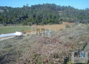 Terreno para Venda em Assafarge e Antanhol