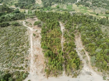 Terreno para Venda em Sesimbra (Castelo)