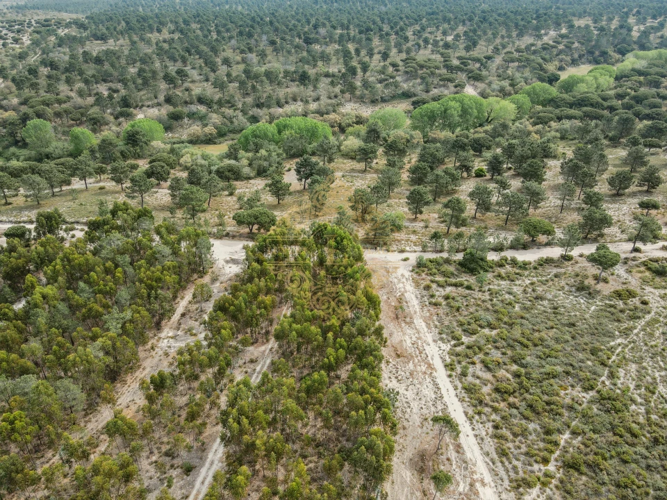 Terreno para Venda em Sesimbra (Castelo) Foto 7