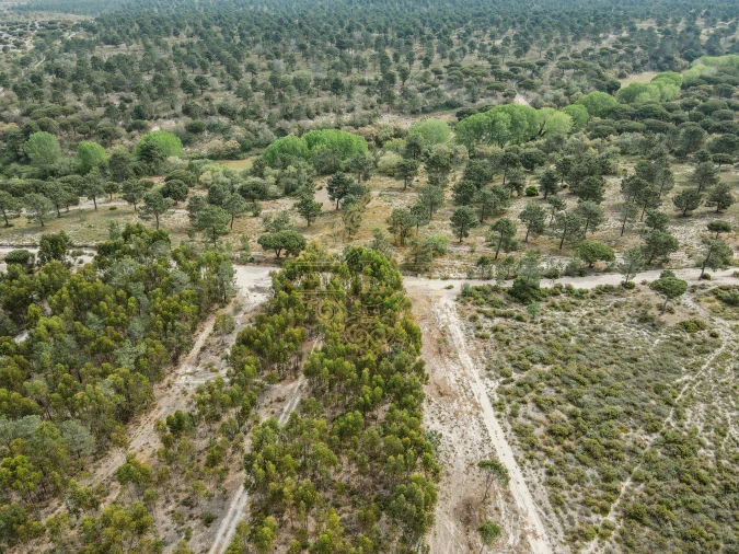 Terreno para Venda em Sesimbra (Castelo) Foto 7