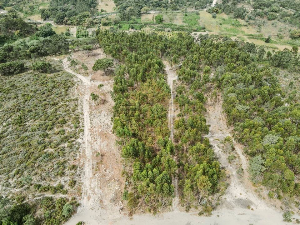 Terreno para Venda em Sesimbra (Castelo) Foto 3