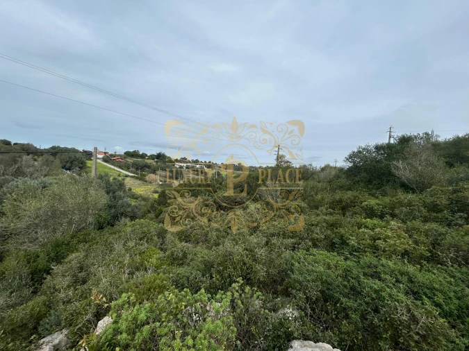 Terreno para Venda em Sesimbra (Castelo) Foto 3