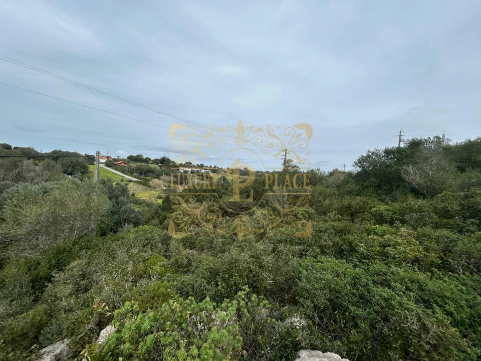 Terreno para Venda em Sesimbra (Castelo) Foto 3