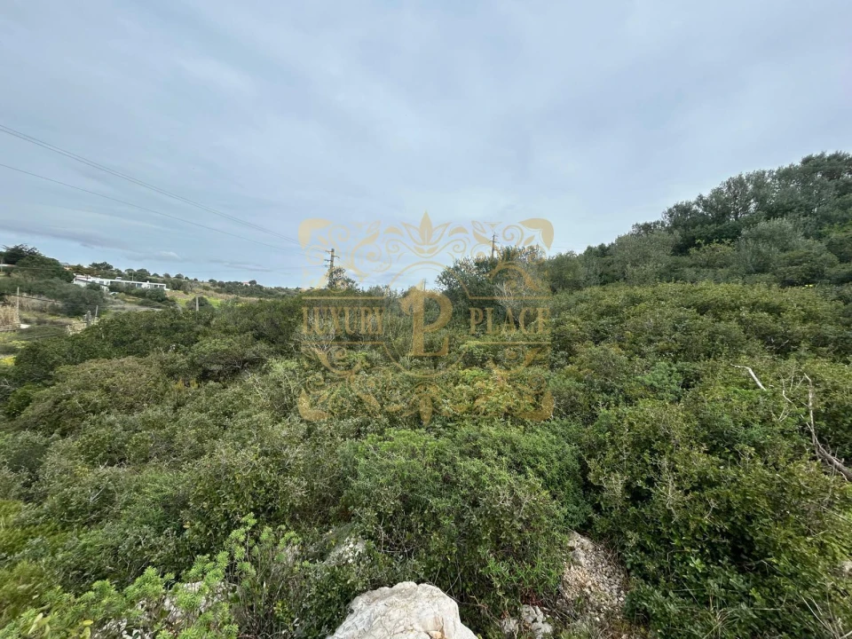 Terreno para Venda em Sesimbra (Castelo) Foto 4