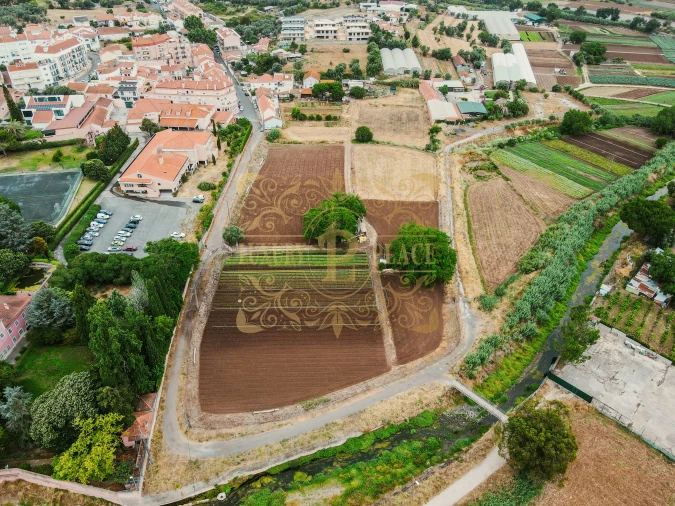 Terreno para Venda em Loures Foto 8
