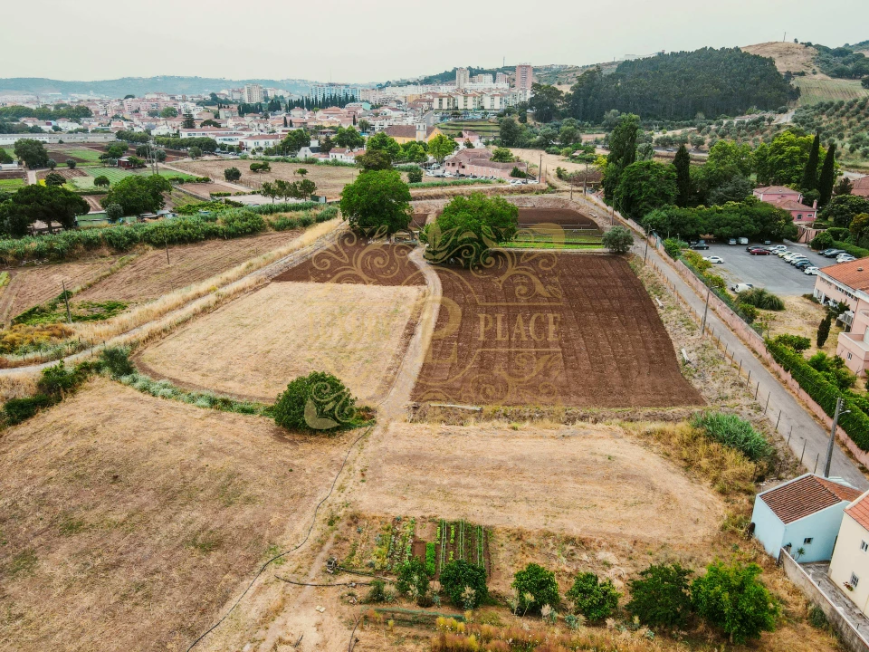 Terreno para Venda em Loures Foto 18
