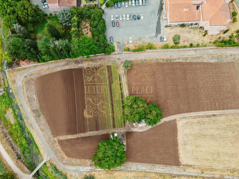 Terreno para Venda em Loures Foto 9