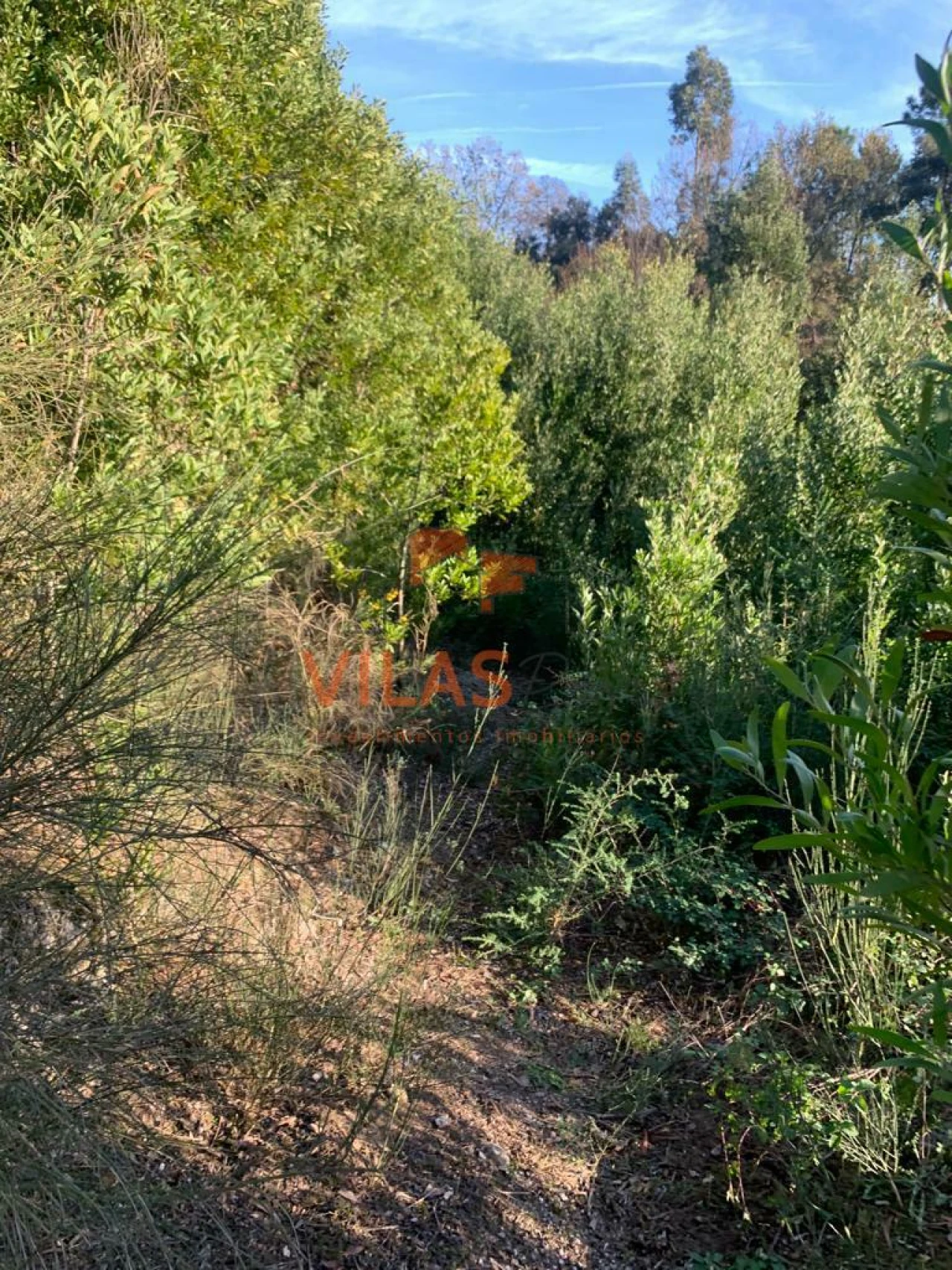 Terreno para Venda em Irivo Foto 16