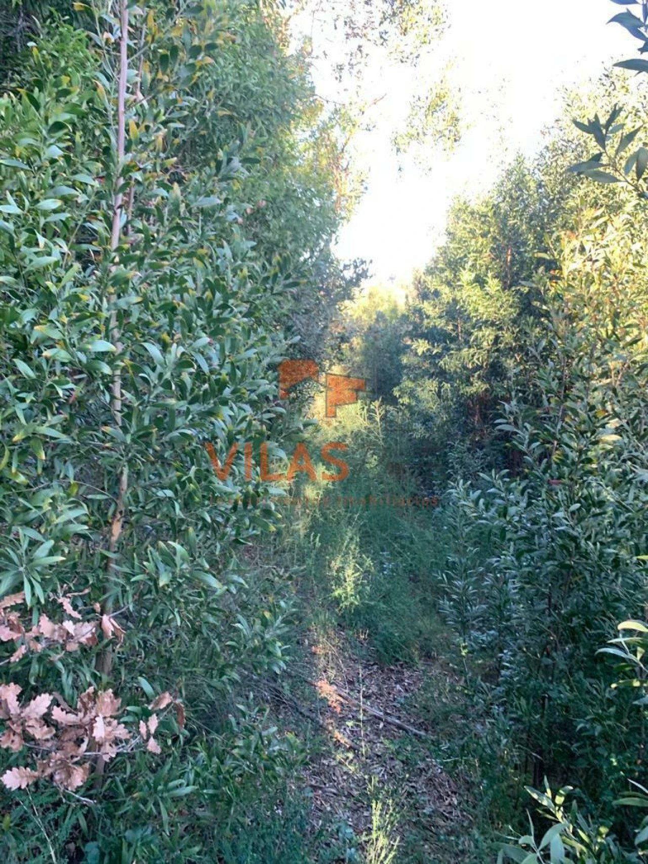 Terreno para Venda em Irivo Foto 17