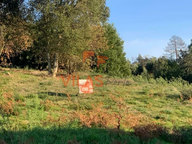 Terreno para Venda em Irivo