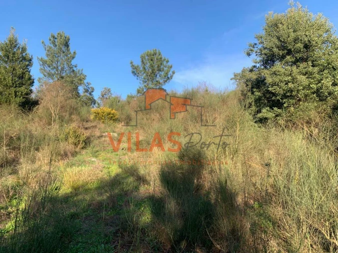 Terreno para Venda em Irivo Foto 15