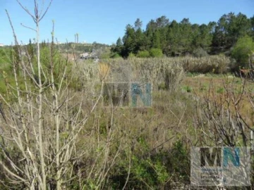Terreno para Venda em Eiras e São Paulo de Frades