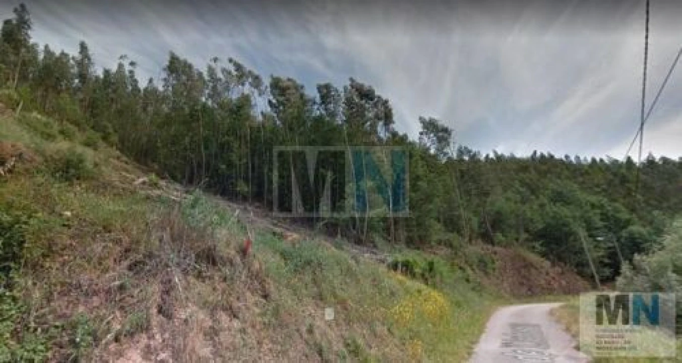Terreno para Venda em Santo Antonio dos Olivais Foto 2