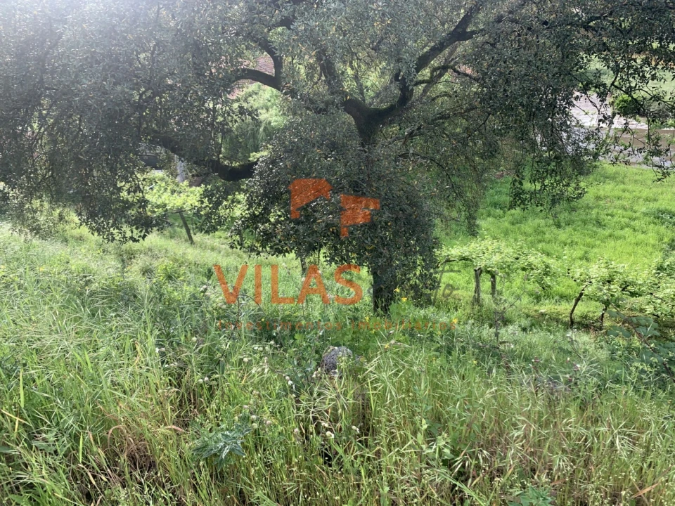 Terreno para Venda em Paço de Sousa Foto 12